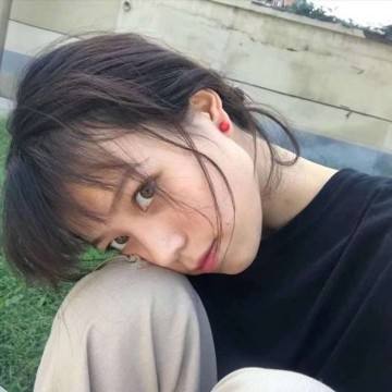 圣域之歌内购破解版下载
