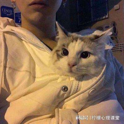 王者荣耀九游版下载